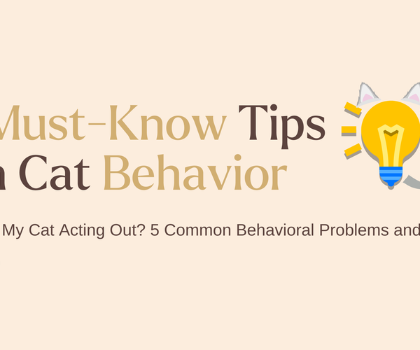 Cat Behavioral Issues Easy Fixes Reference: Why Is My Cat Acting Out 5 Common Behavioral Problems