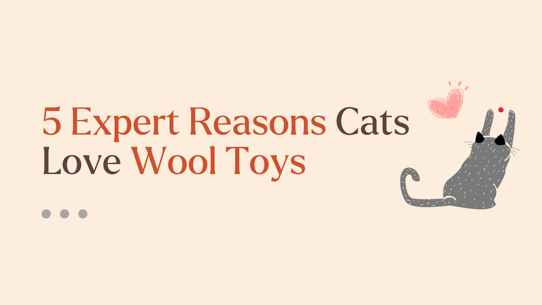 Why Cats Love the Smell of Wool and What It Means for Playtime