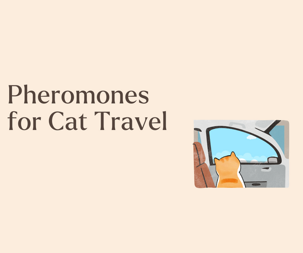 Beautiful view of Cat Pheromone Products For Car Travel