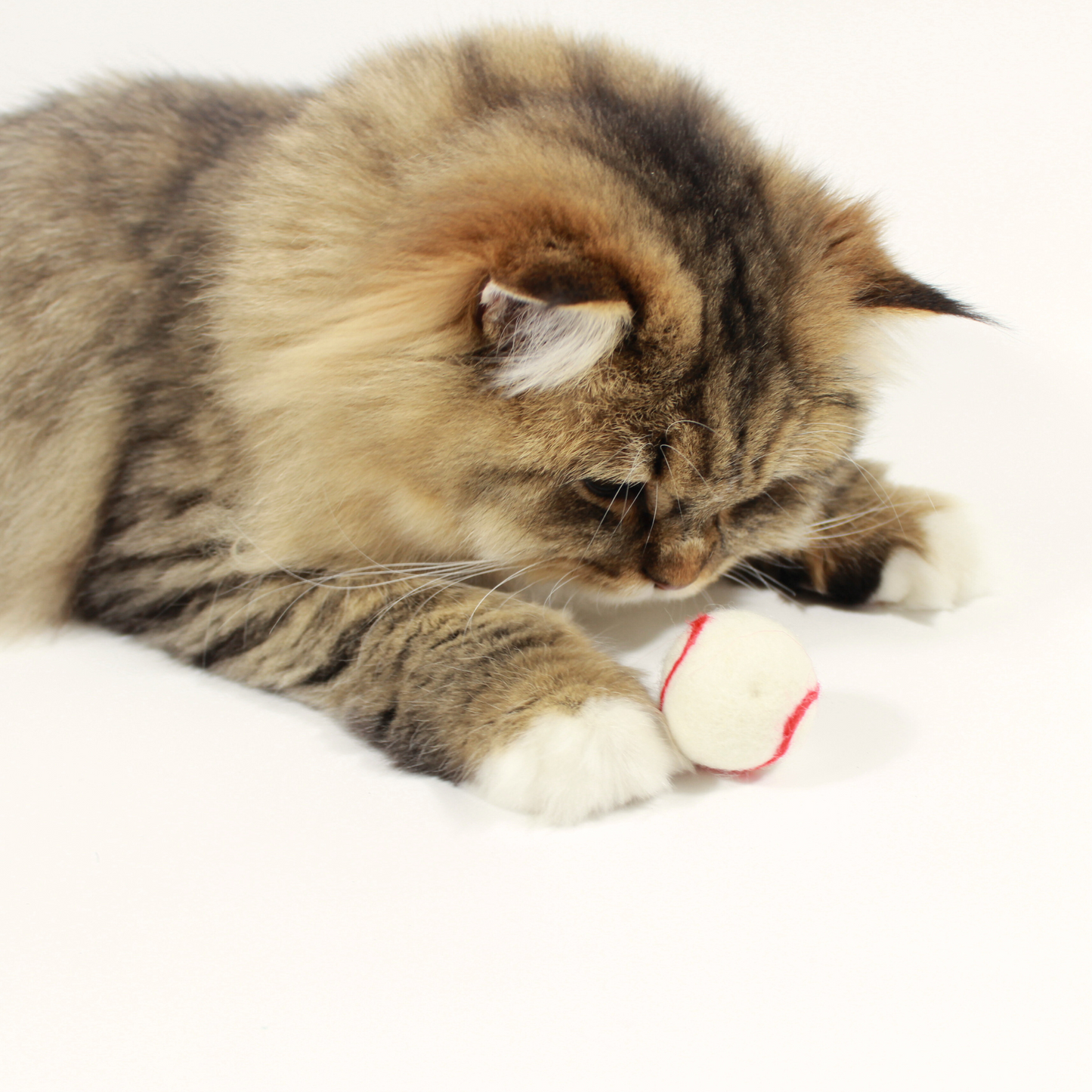 Natural Wool Baseball Cat Toy