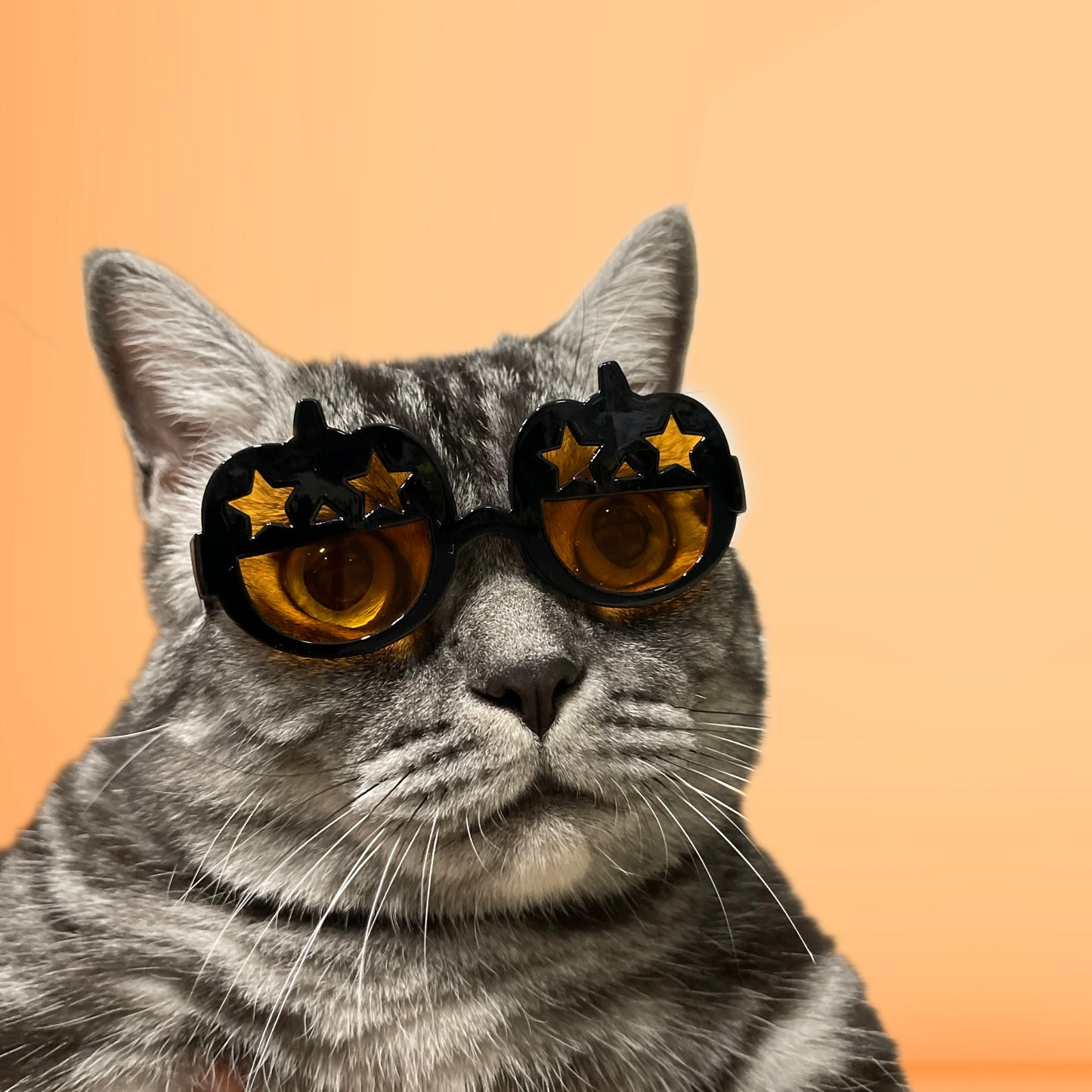 Black Halloween Pumpkin Sunglasses