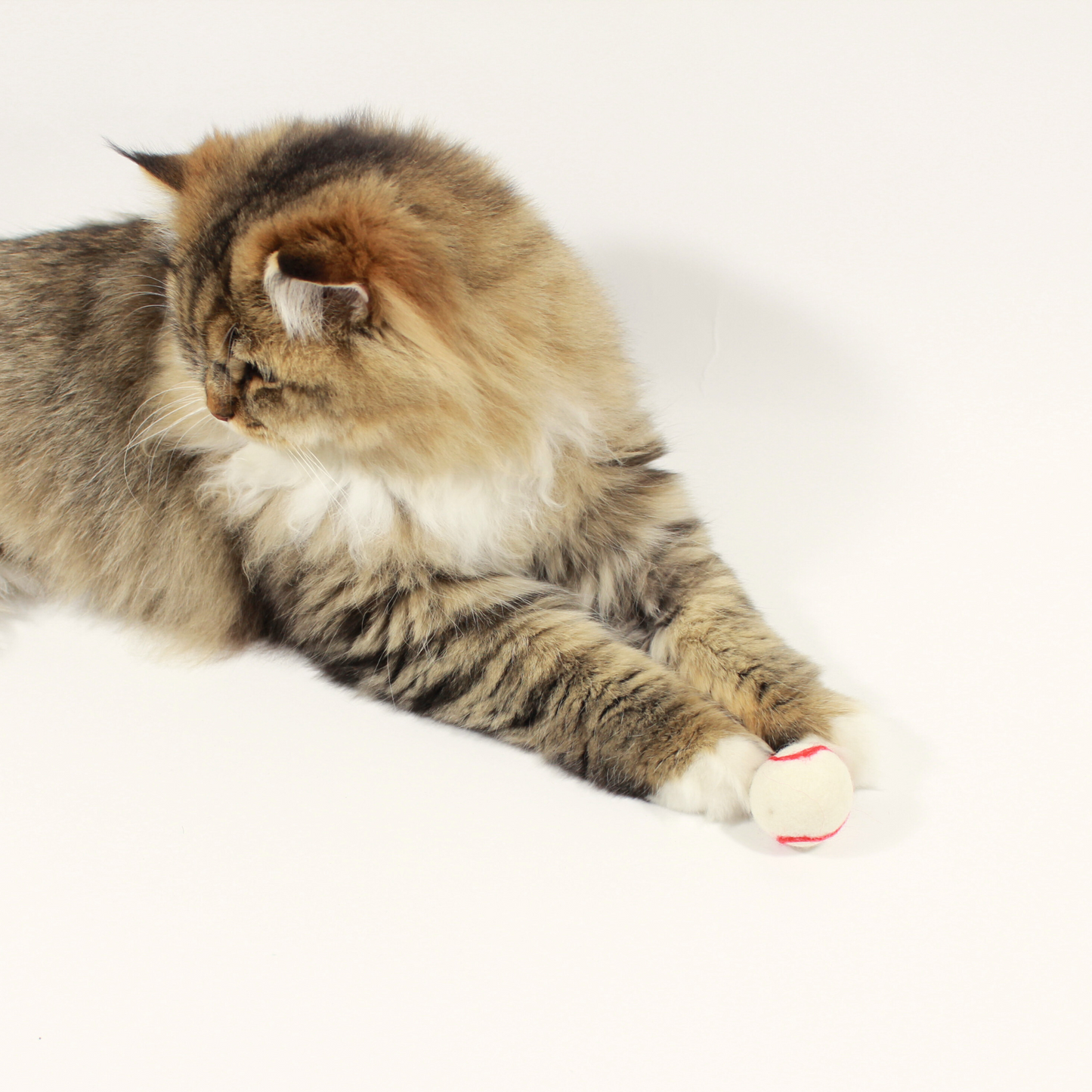 Natural Wool Baseball Cat Toy