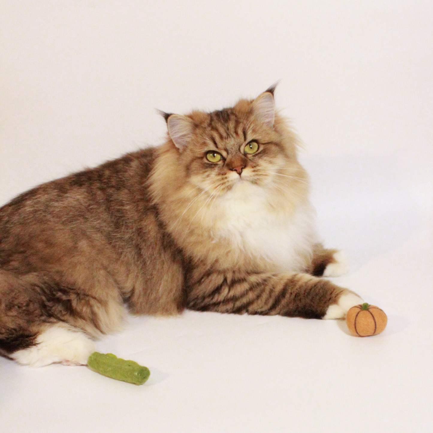 Natural Wool Pumpkin Cat Toy