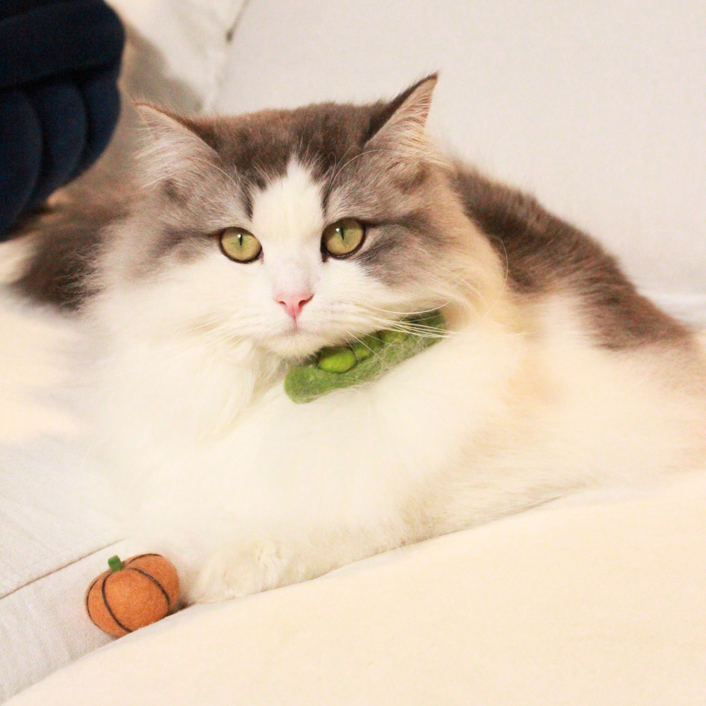 Handmade Wool Green Bean Cat Toy