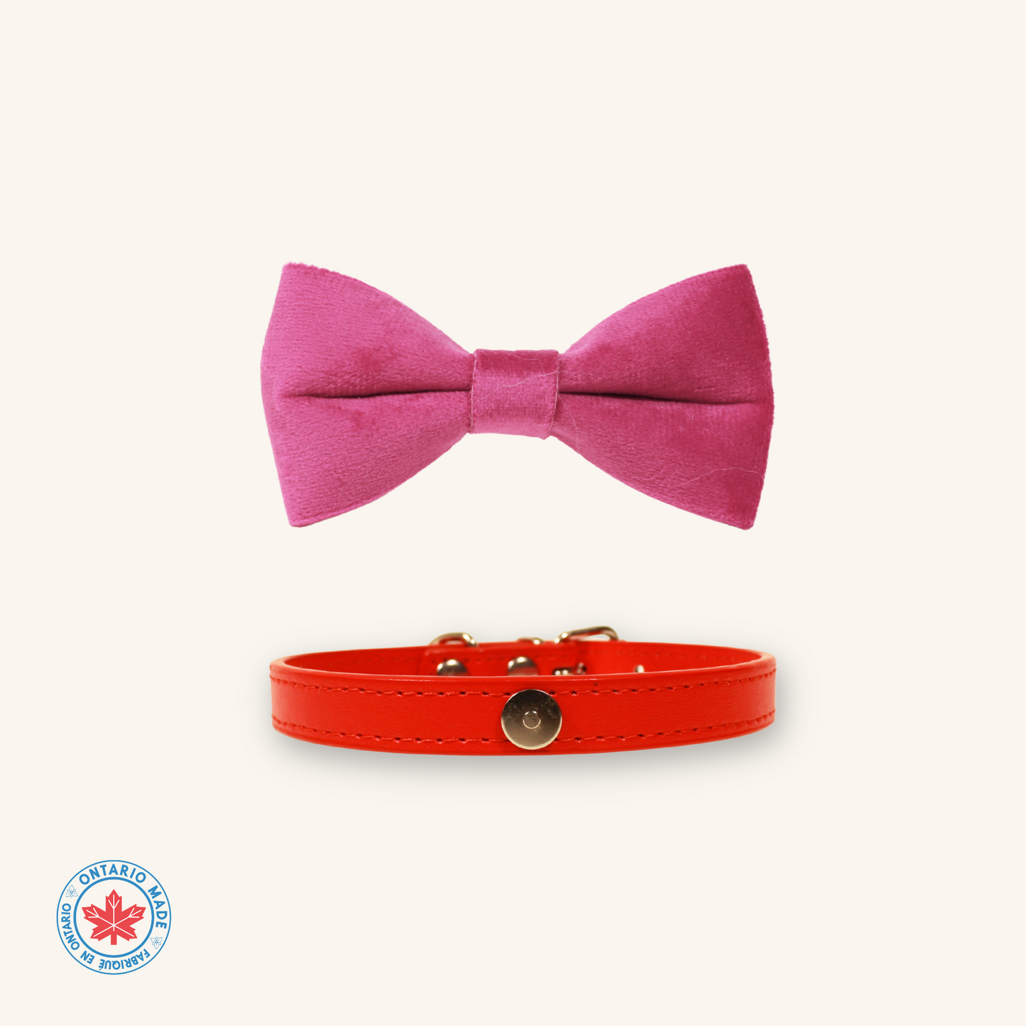 Modular Cat Collar with Bright Pink Velvet Bow