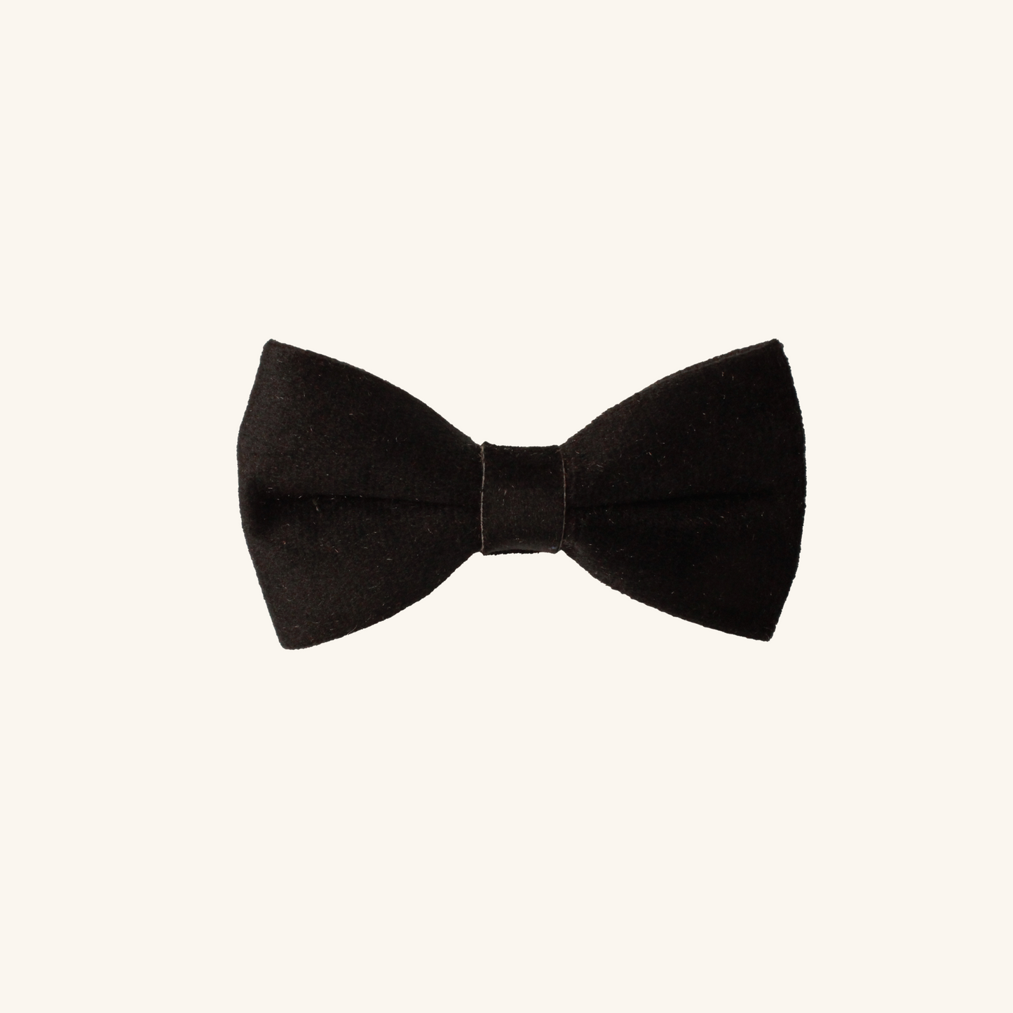Modular Cat Collar with Black Velvet Bow