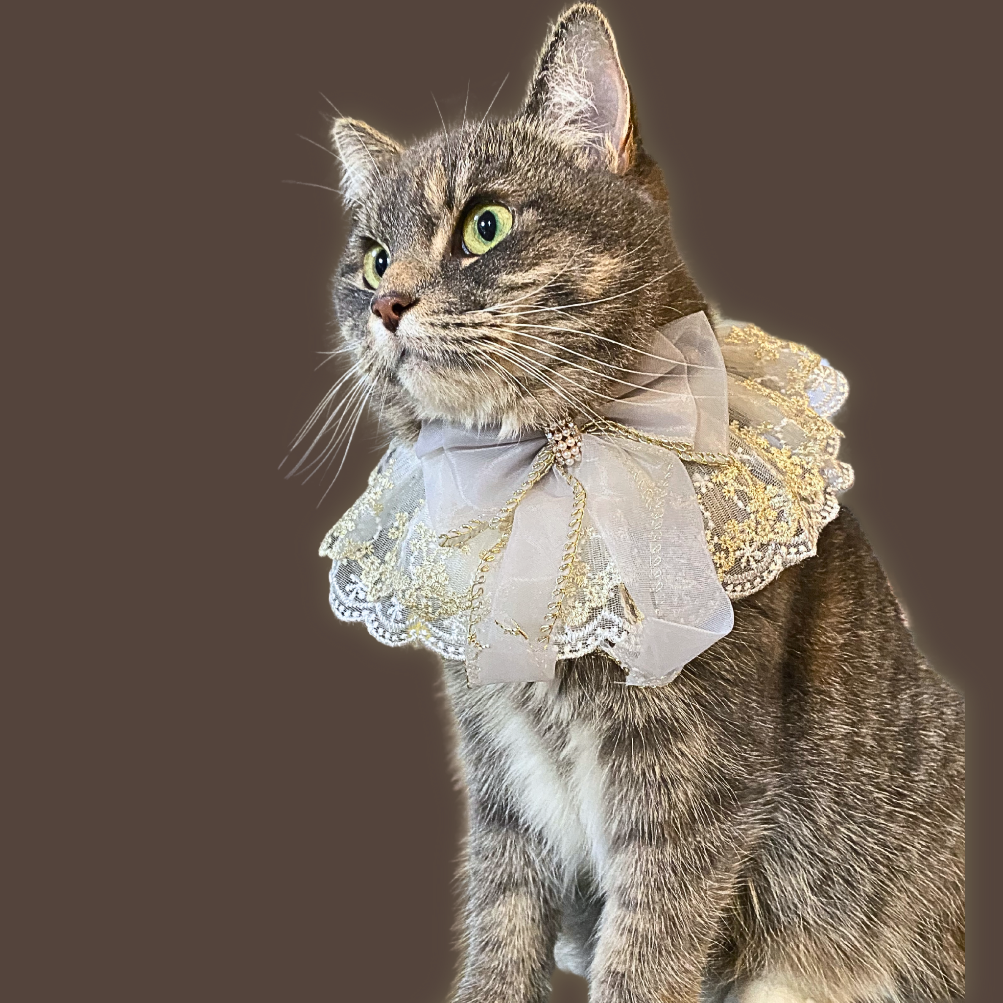 Elegant Pearl Diamond White Smoke Lace Collar With Gold Trim Mori Cat elegant-pearl-diamond-white-smoke-lace-collar-with-gold-trim-mori-cat