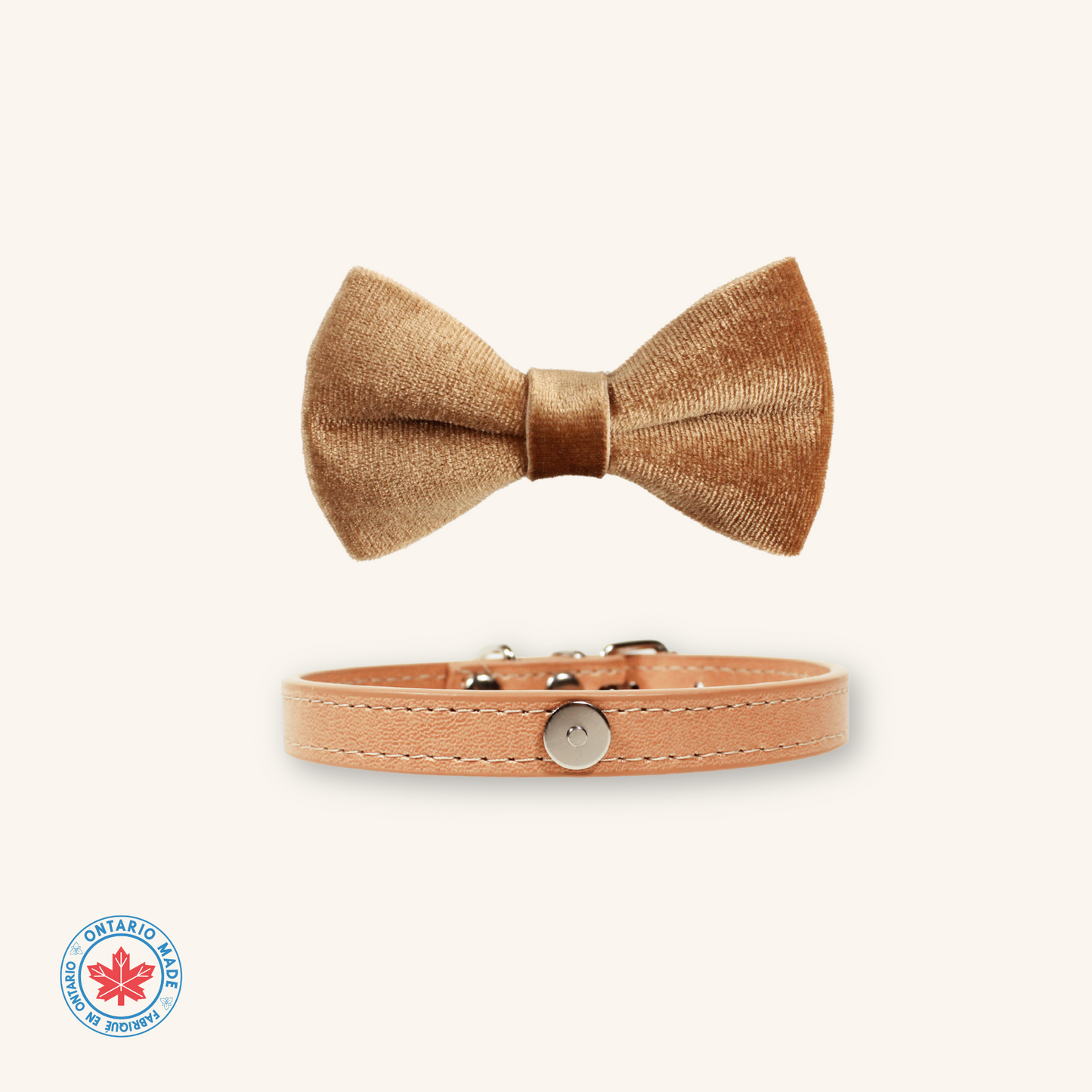 Modular Cat Collar with Camel Brown Velvet Bow