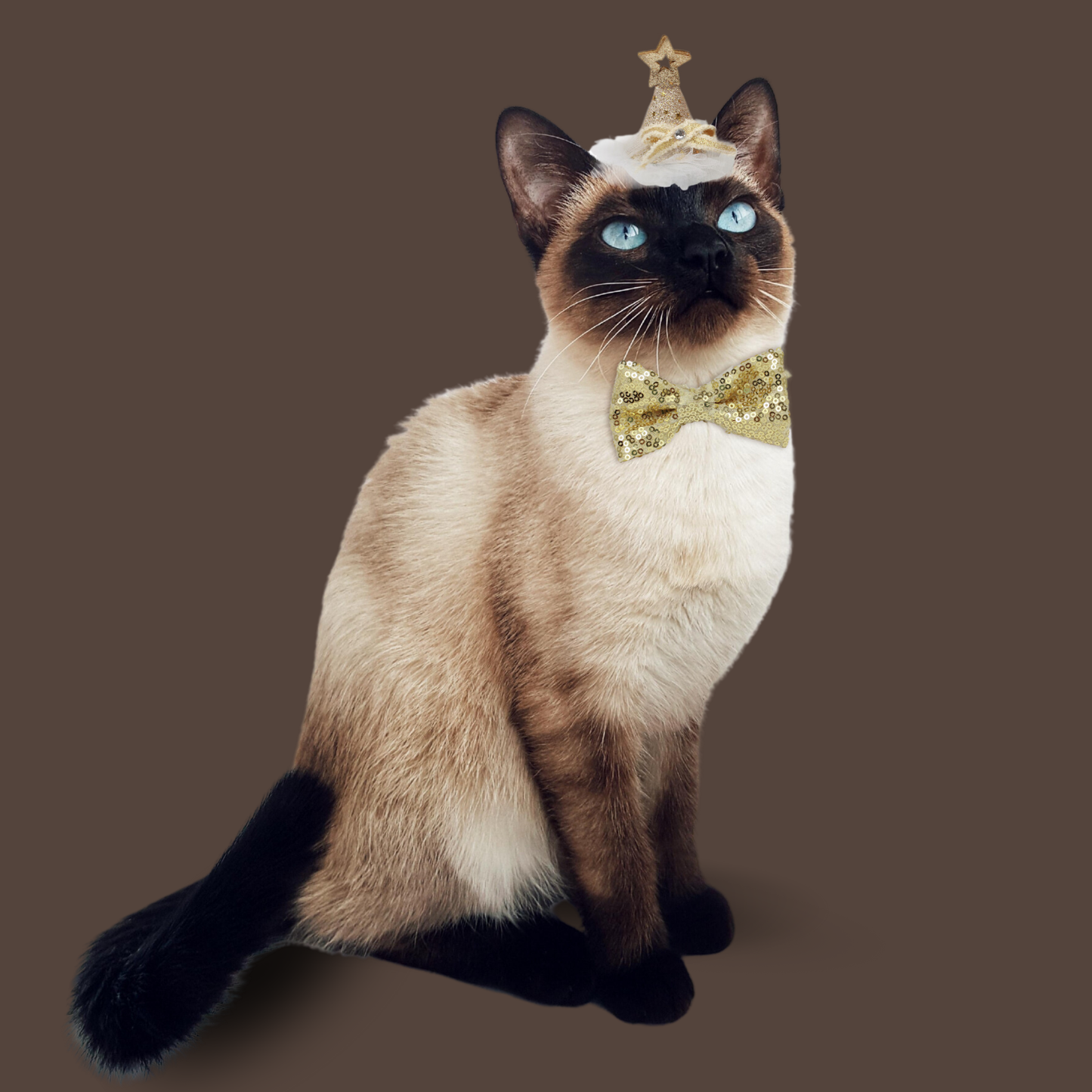 Starry Night Sequins Hat for Pets