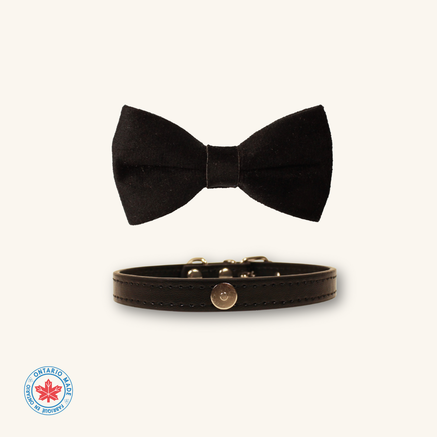 Modular Cat Collar with Black Velvet Bow