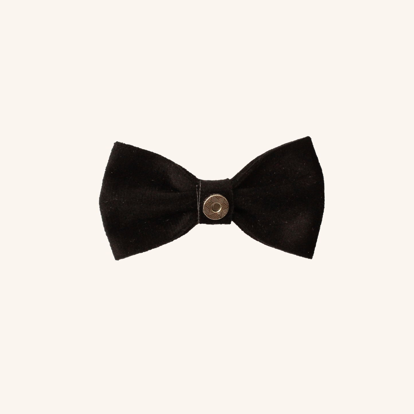 Modular Cat Collar with Black Velvet Bow