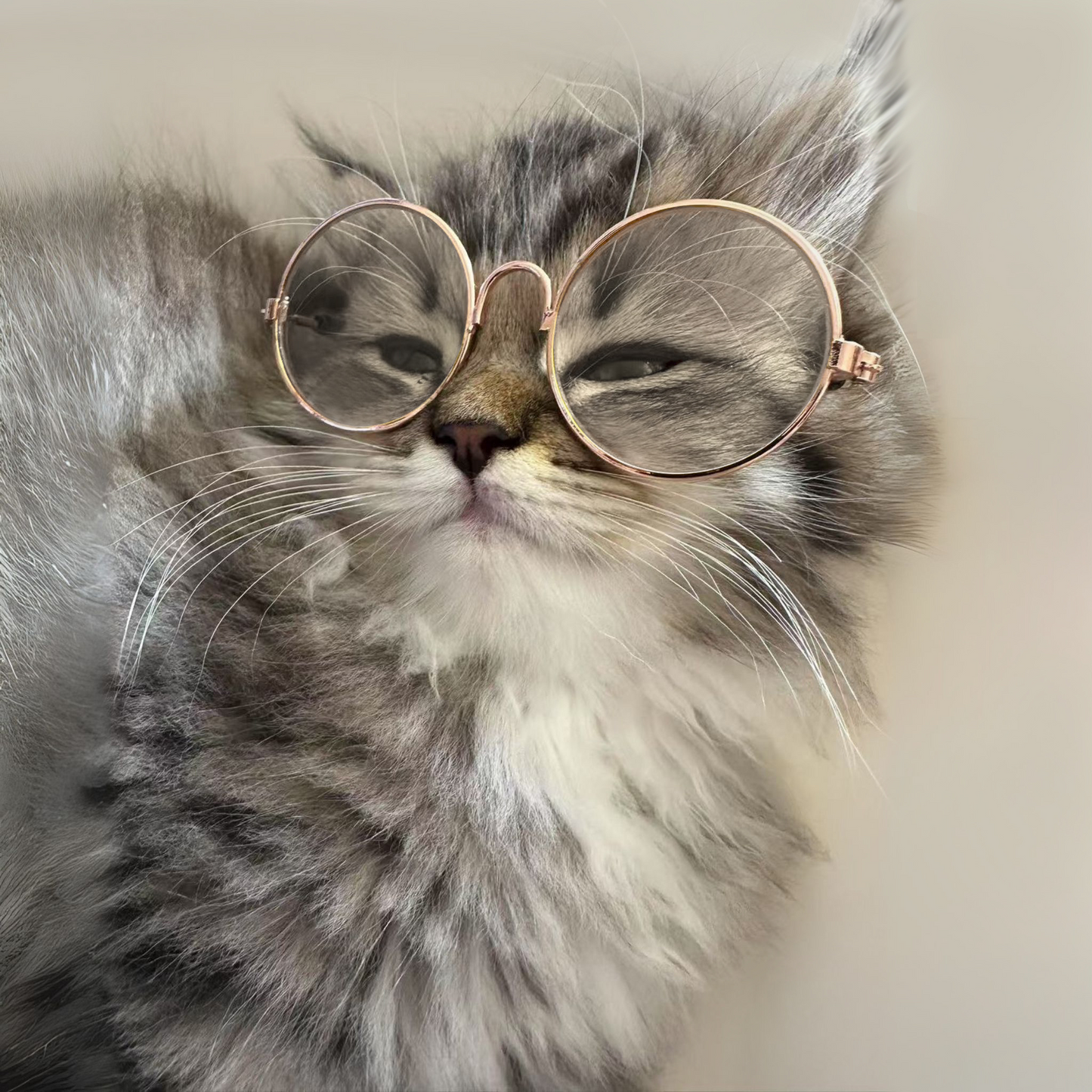 Golden Round Frame Glasses