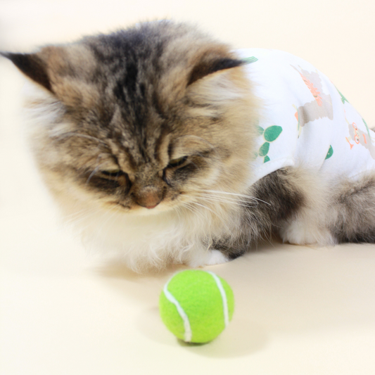 Handmade Wool Tennis Ball Cat Toy