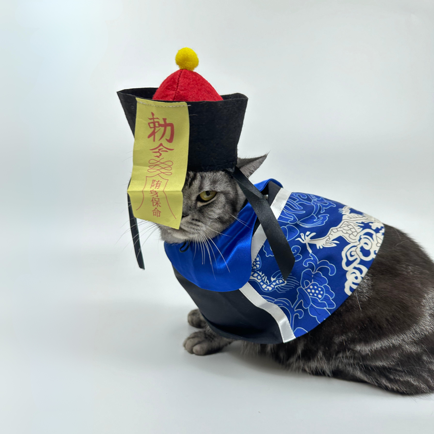 Chinese Zombie Pet Costume