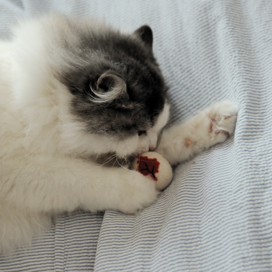 Handmade Canada Maple Leaf Wool Cat Toy