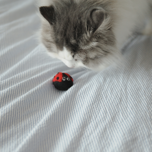 Handmade Ladybug-Shape Wool Cat Toy