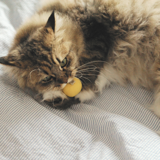 Handmade Wool Heart-Eyes Emoji Cat Toy – Limited 2025 Edition