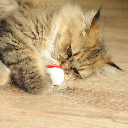 Handmade Wool Eyeball Cat Toy