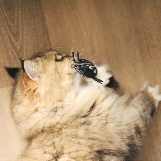 Handmade Wool Spider Cat Toy