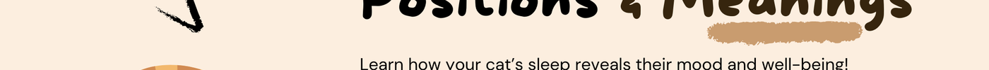 Discover What Your Cat’s Sleeping Position Tells You: 8 Common Types!