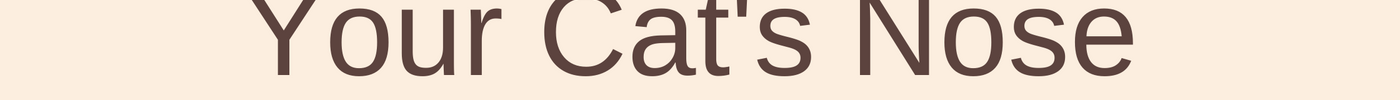 Did You Know? Your Cat's Nose Print Is as Unique as a Human Fingerprint!