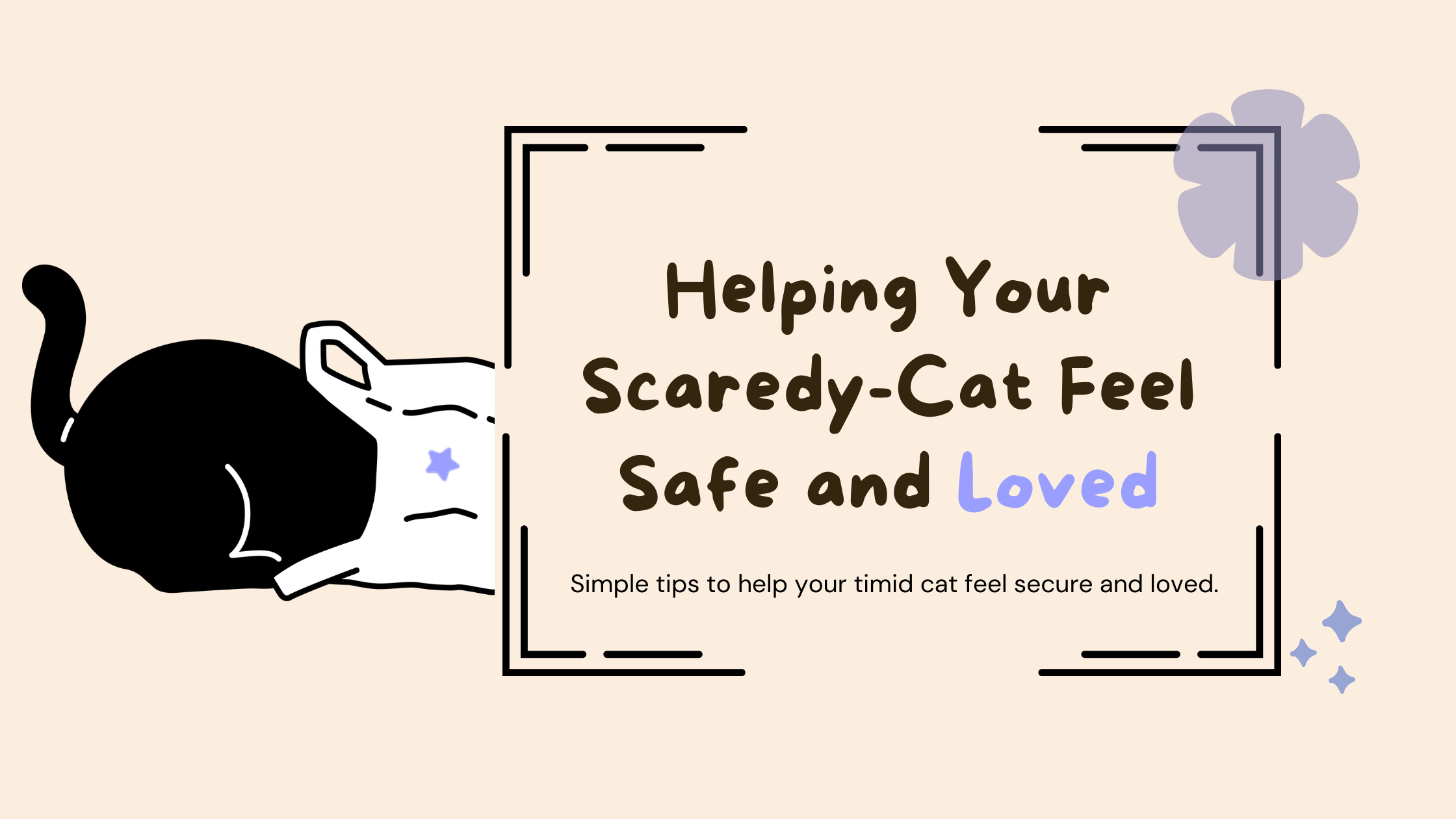 Is Your Cat Shy? Discover How to Build Their Confidence! – Mori Cat
