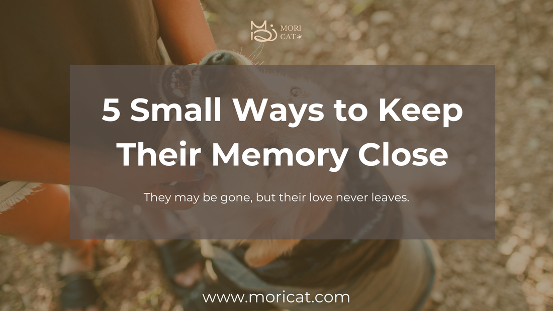 5 Gentle Ways to Remember a Pet You Still Miss Every Day