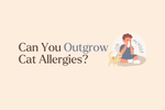 How Some Cat Parents Build Allergy Tolerance (and Don’t Even Realize It)