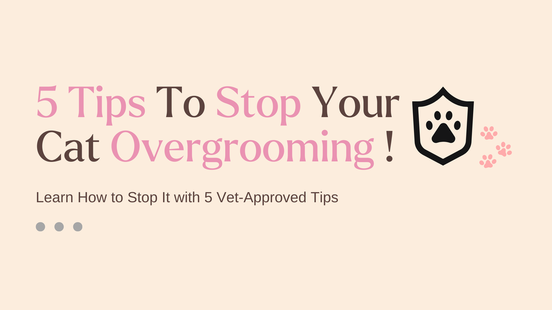 5 Tips To Stop Your Cat Overgrooming