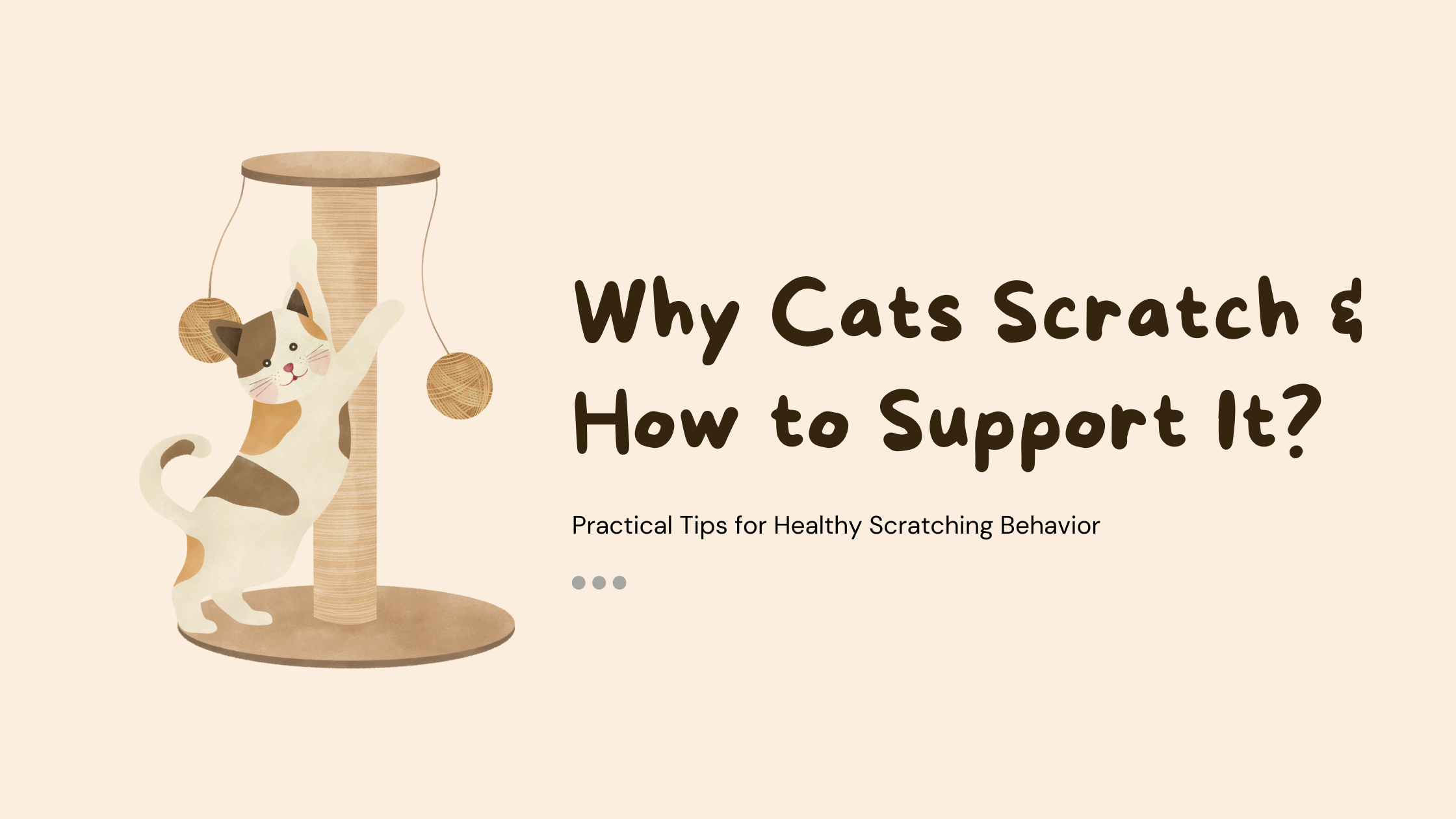 Understanding Your Cat’s Need to Scratch and Setting Up for Success ...