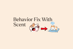 Beyond Scratching Posts: How Pheromones Help Solve Common Behavior Problems