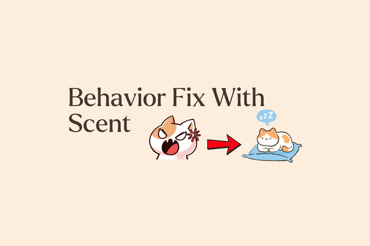 Photo inspiration: Pheromone Cat Collar And Scratching Posts Reference: Beyond Scratching Posts How Pheromones Help Solve Common Behavior Pro