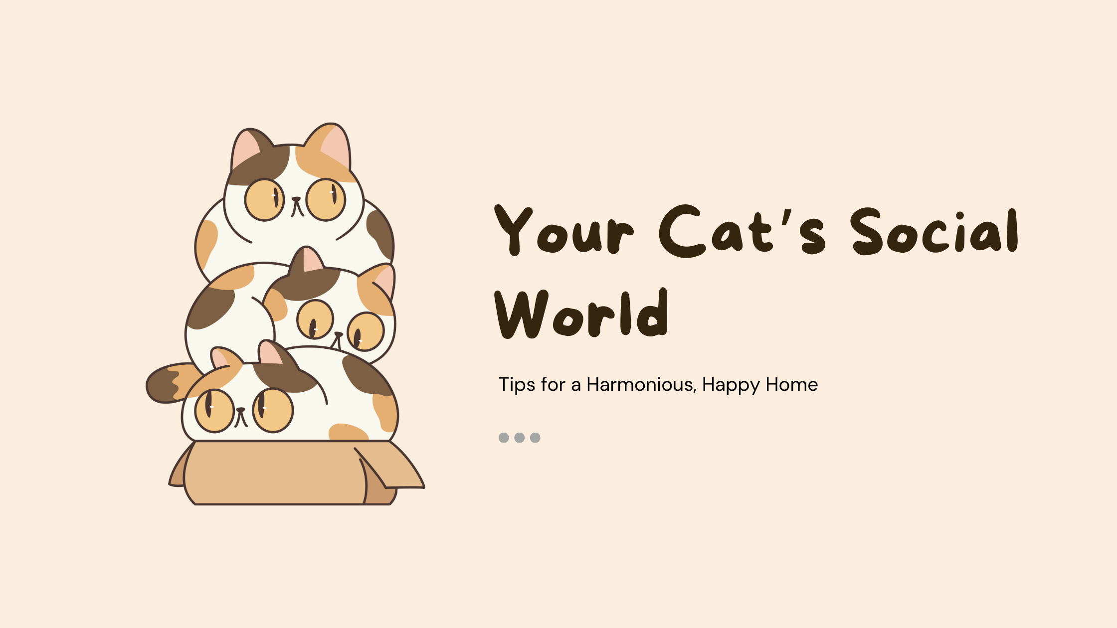 Understanding Your Cat’s Social Structure: Tips to Build a Happier Hom ...