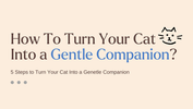 How Can You Help Your Cat Become More Gentle and Loving? Discover 5 Easy Tips!