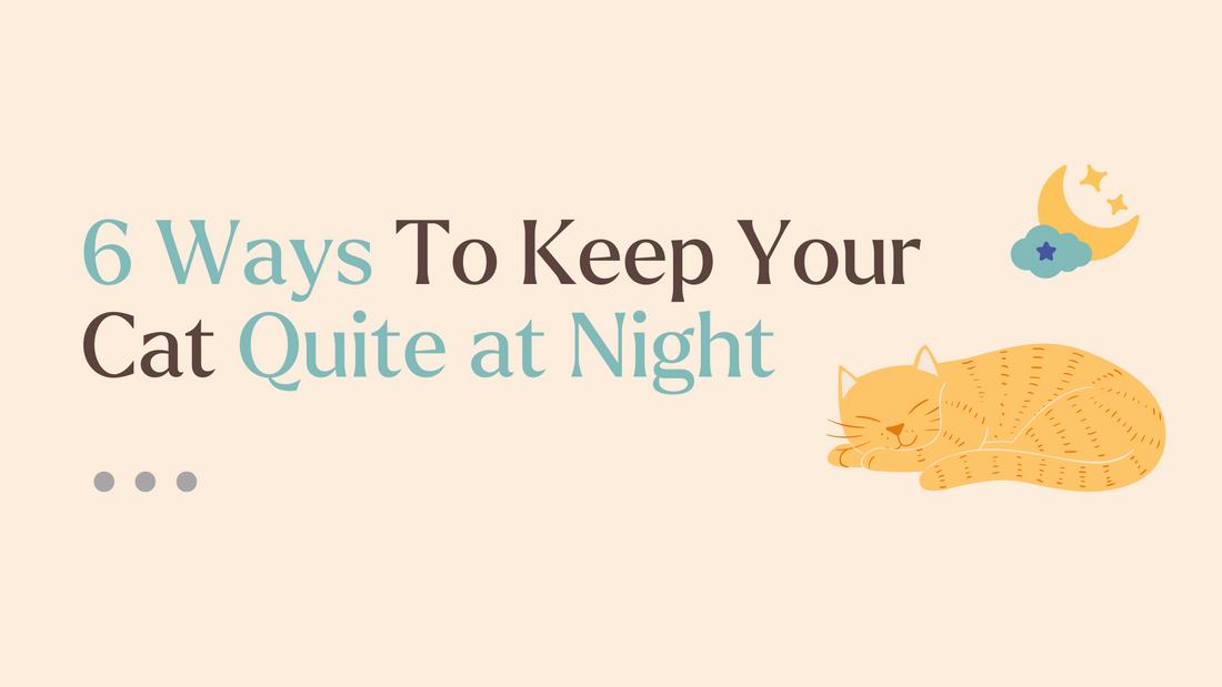 No More Midnight Meows: 6 Easy Ways To Keep Your Cat Quite!