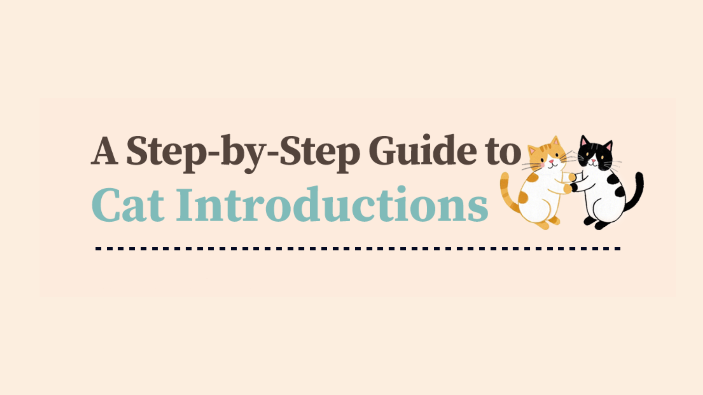 Cat Introduction From Strangers to Roommates: A Step-by-Step Guide to Cat Introductions ...
