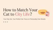 Finding the Purrfect Cat for Your Downtown Lifestyle