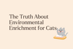 The Truth About Environmental Enrichment for Cats
