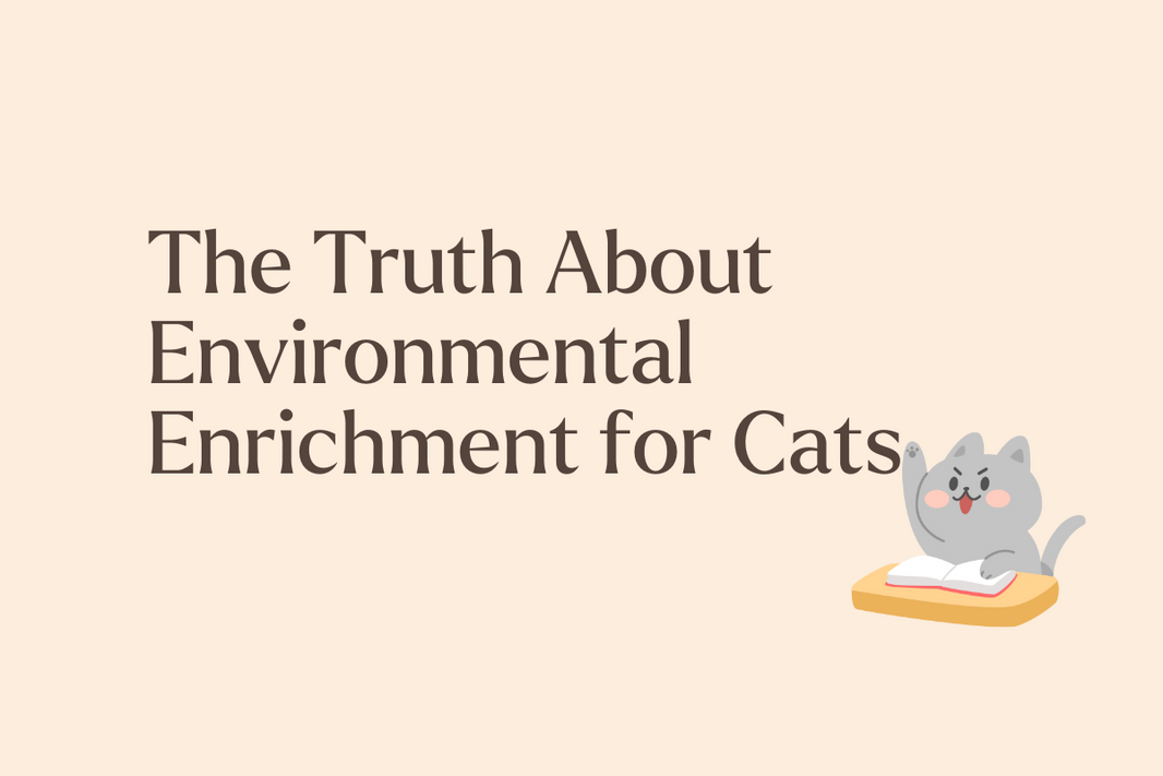 Picture of The Truth About Environmental Enrichment for Cats - Mori Cat