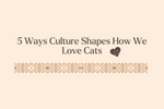 How Culture Shapes the Way We Love Cats: 5 Perspectives from Around the World