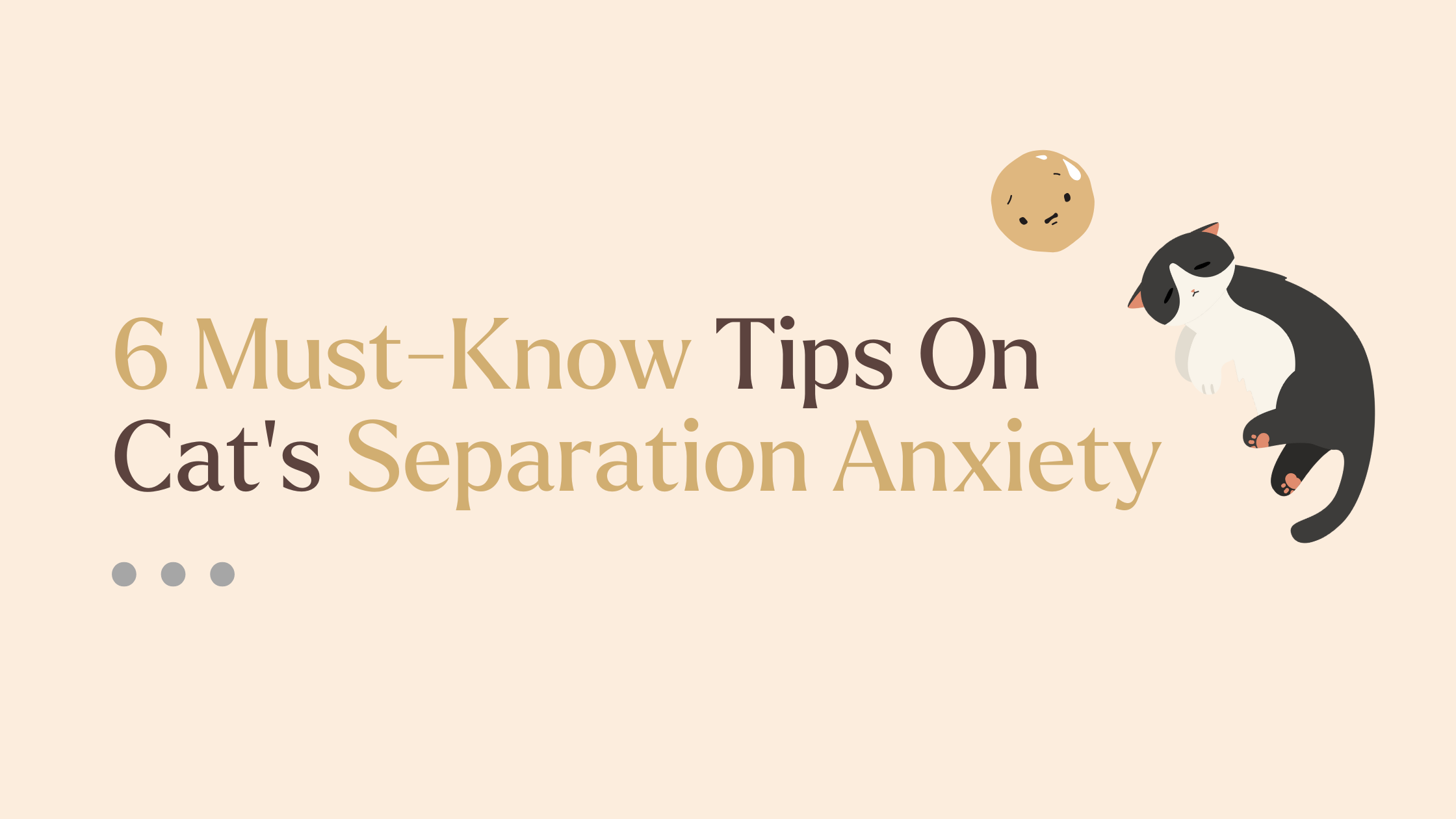 Beautiful view of Feline Separation Anxiety Support And Resources