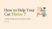 10 Ways to Help Your Cat Live a Longer Life
