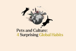5 Surprising Cultural Facts About Cat and Dog Ownership Around the World