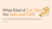 Use 2 Minutes: Find Out Which Cat Toys Are Safe and Fun!