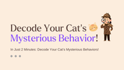 8 Commonly Odd Behaviors: Decode Your Cat’s Mysterious Behaviors!