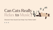 Can Cats Really Relax to Music? Discover How Sound Can Keep Your Feline Calm