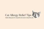 5 Helpful Tips for Cat Parents Struggling With Allergies