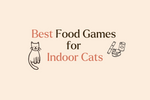 5 Fun Food Enrichment Ideas to Keep Indoor Cats Mentally Stimulated