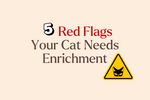 5 Behavior Clues Your Cat Needs Mental Stimulation
