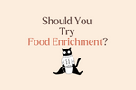 Should You Try Food Enrichment?